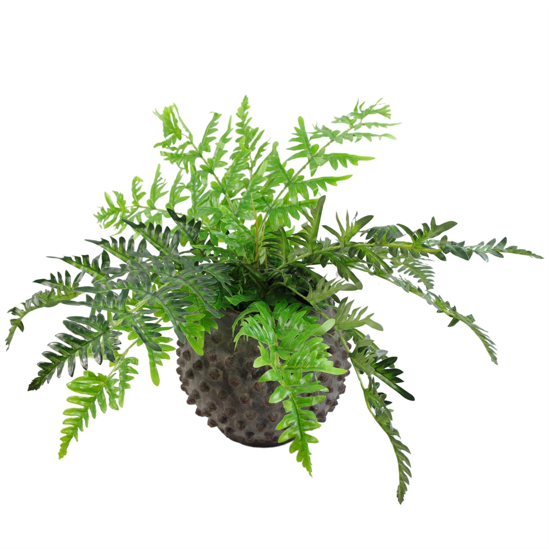 Artificial Potted Fern Plant - 50cm Luxury Wired Arrangement